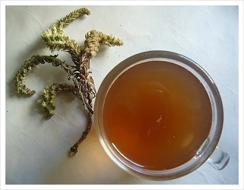 좋아하는 사람은 환장해서 먹는 우리나라 희귀 식재료 | 인스티즈