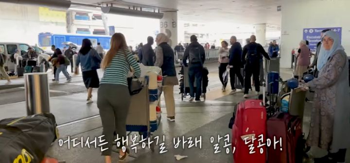 이효리 캐나다체크인보고 유기견 이동봉사 신청한 배우 엄지원 | 인스티즈