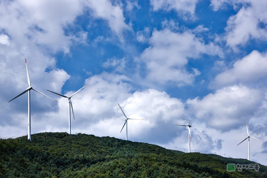 공포증 딱히 없는 내가 느끼는 이름 모를 공포 | 인스티즈