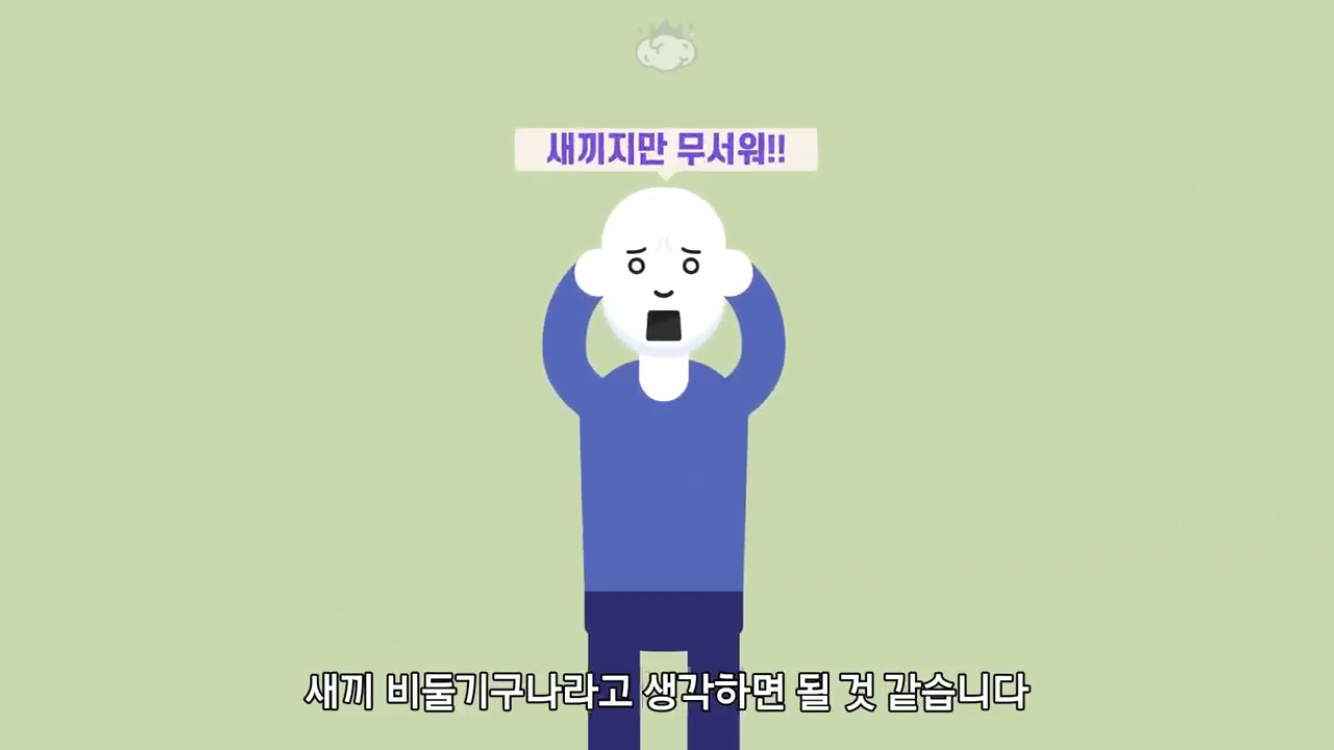 거리에 비둘기가 이렇게 많은데 왜 새끼 비둘기는 안 보일까? | 인스티즈