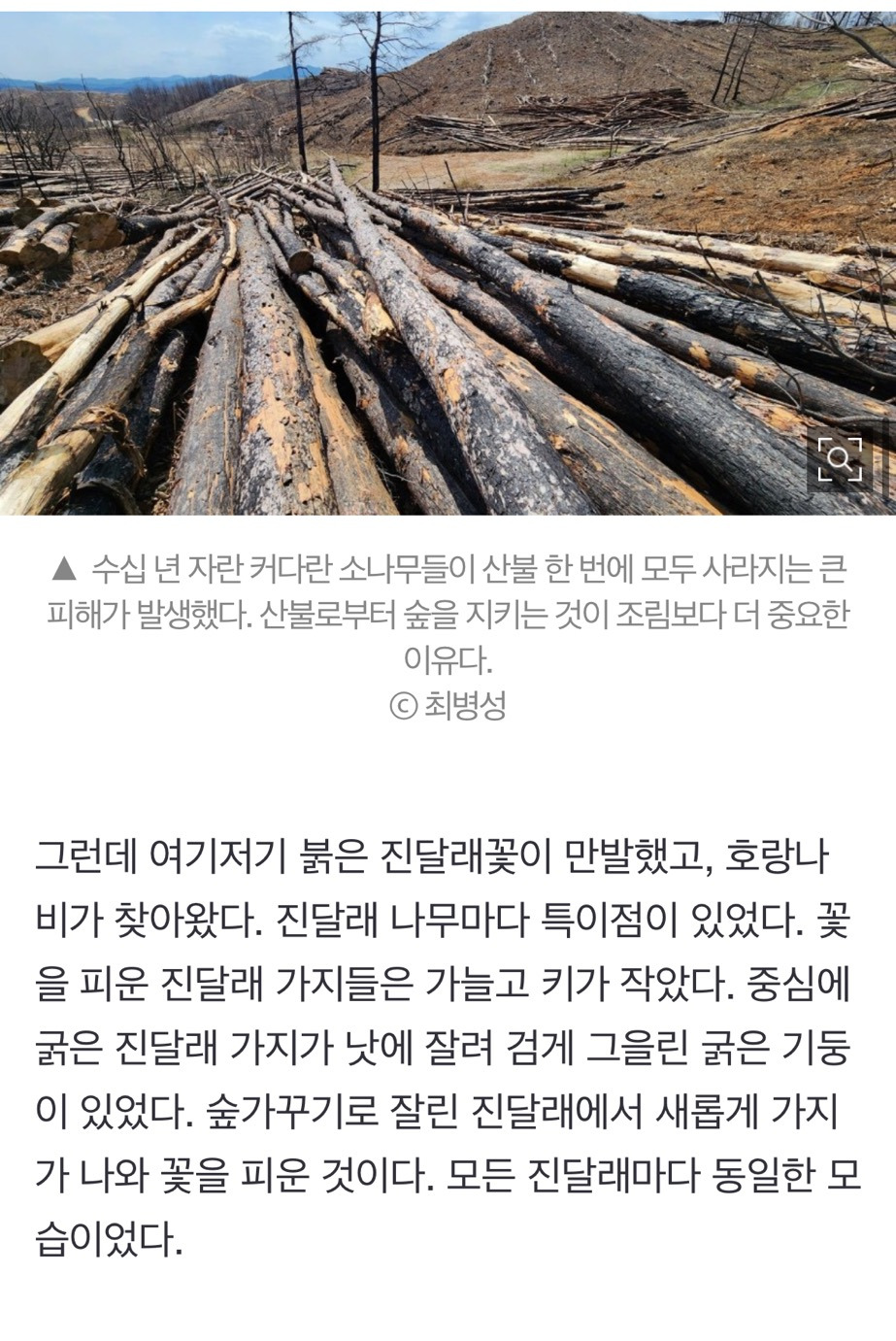 산불 발화지점 가보고 깜짝 놀랐다, 대형산불의 진짜 원인 [최병성 리포트] | 인스티즈