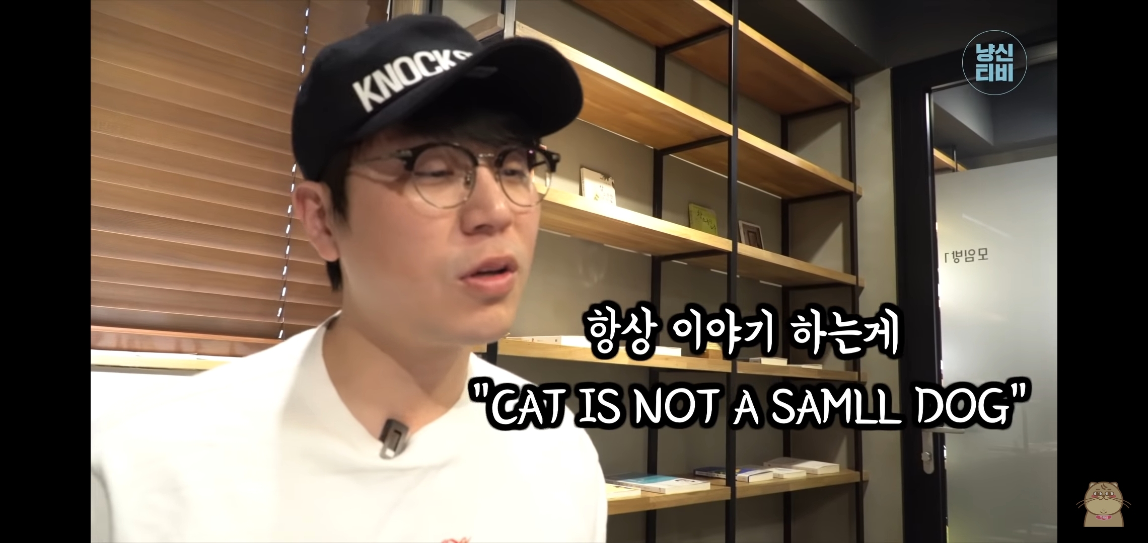 고양이 산책? 하지마!!!!! | 인스티즈