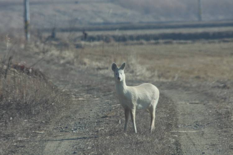 a9b8ffd748f092dae81128f00f189df4416dcfa0