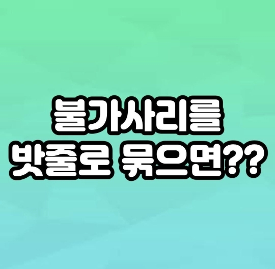 [스펀지] 불가사리를 밧줄로 묶으면? | 인스티즈