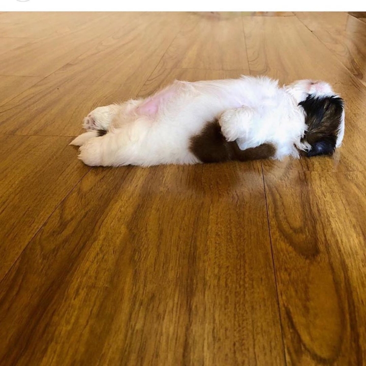 a9e5ab7e65f59bcf293746bb14caafadef0db052