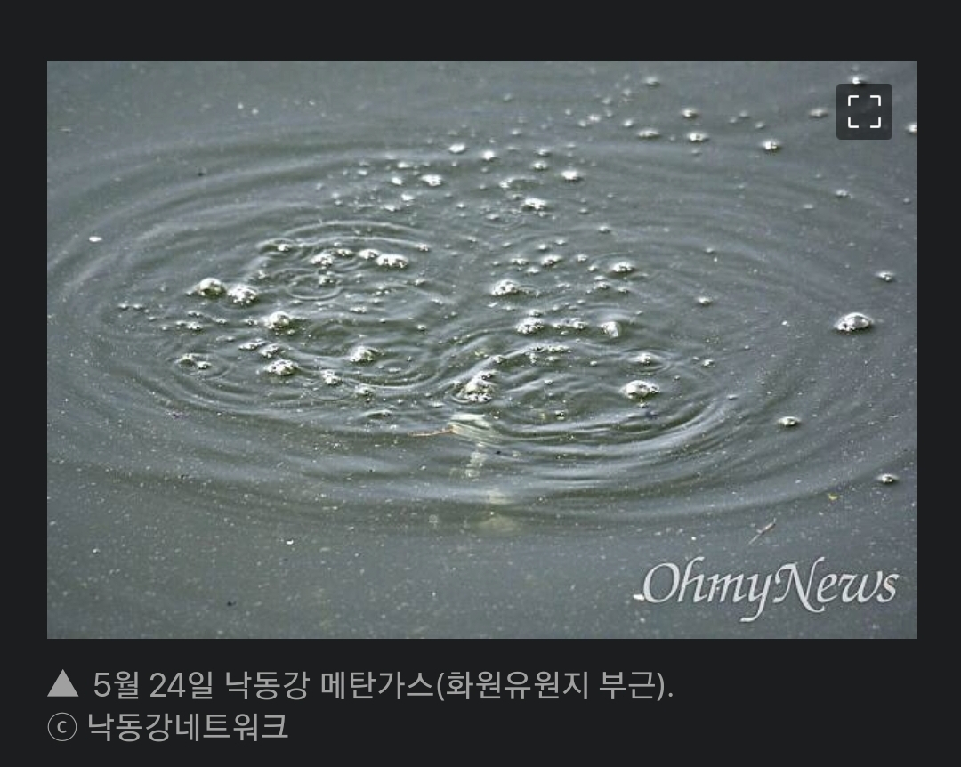 개충격적인 낙동강 근황..jpg | 인스티즈