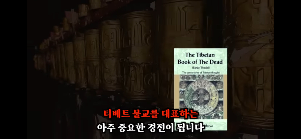 죽고나서 지구로 환생안하는 방법 2편 | 인스티즈