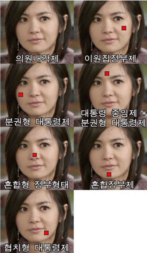 내각제 왜 반대하는거야? | 인스티즈