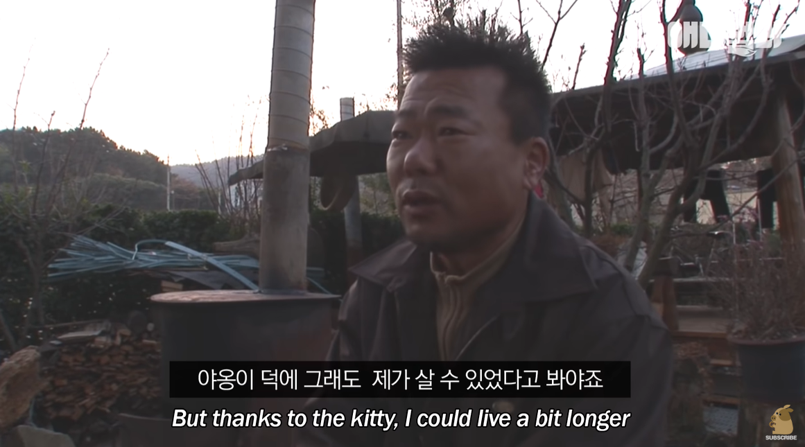 자신을 치료해준 아저씨를 불길속에서 구한 고양이 | 인스티즈