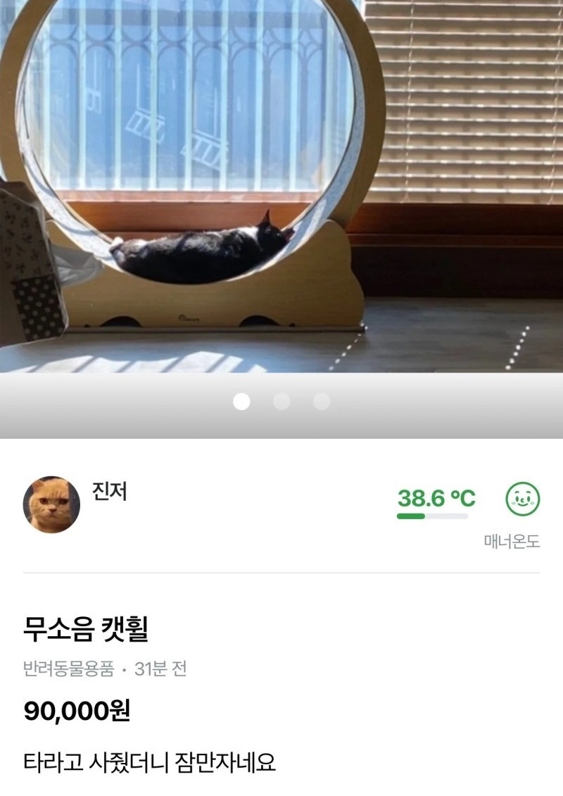 당근마켓에 올라온 캣휠 | 인스티즈