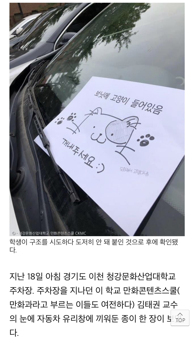 "차에 고양이 들어있음" 쪽지에 우르르 몰려나온 교수님들, 그 이후 | 인스티즈