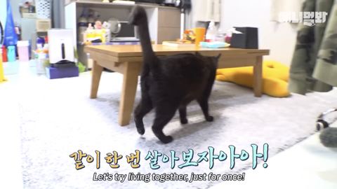 밤낮없이 집 도어락을 누르는 누군가때문에 고민인 부부 | 인스티즈