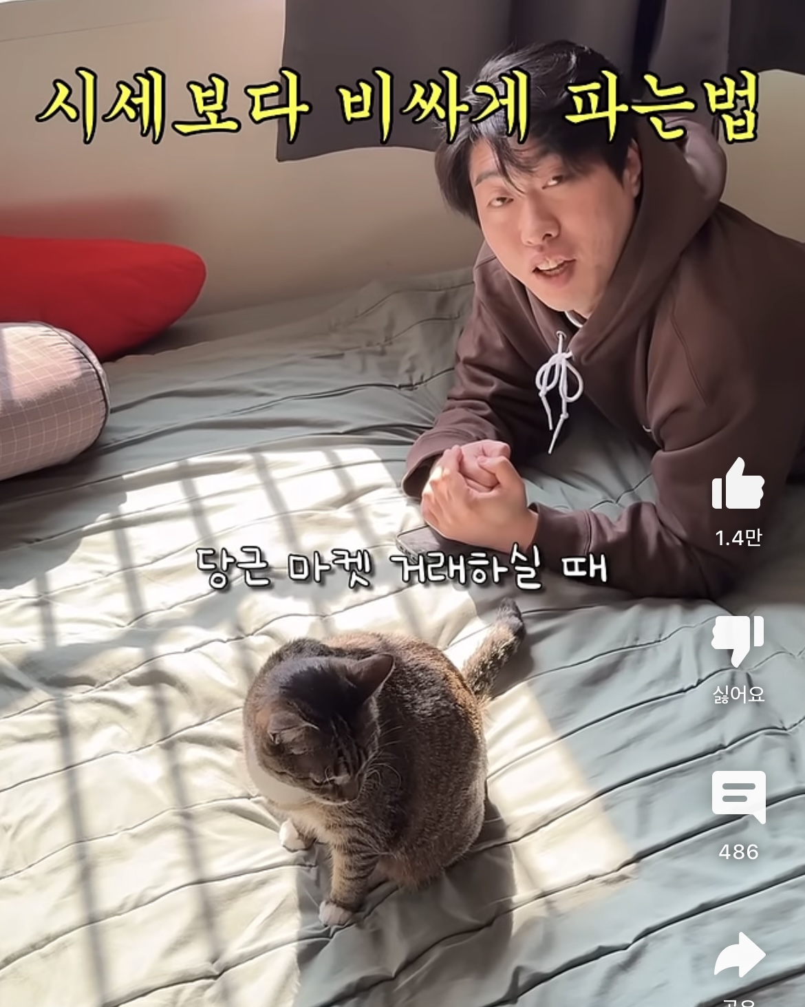 당근마켓에서 물건팔때 꿀팁 | 인스티즈