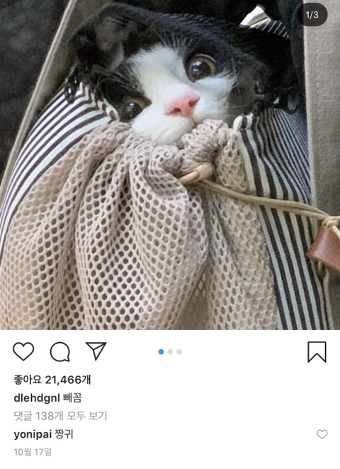 집사된 이동휘 (+ 2022 NEW! 둘째 업어온 이동휘) | 인스티즈