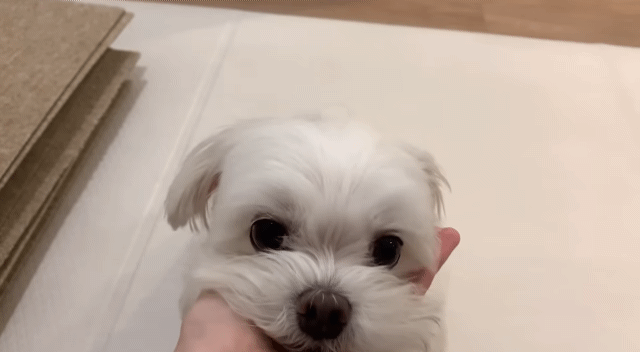 새로 이사온 주택에 물이 새요.jpg | 인스티즈