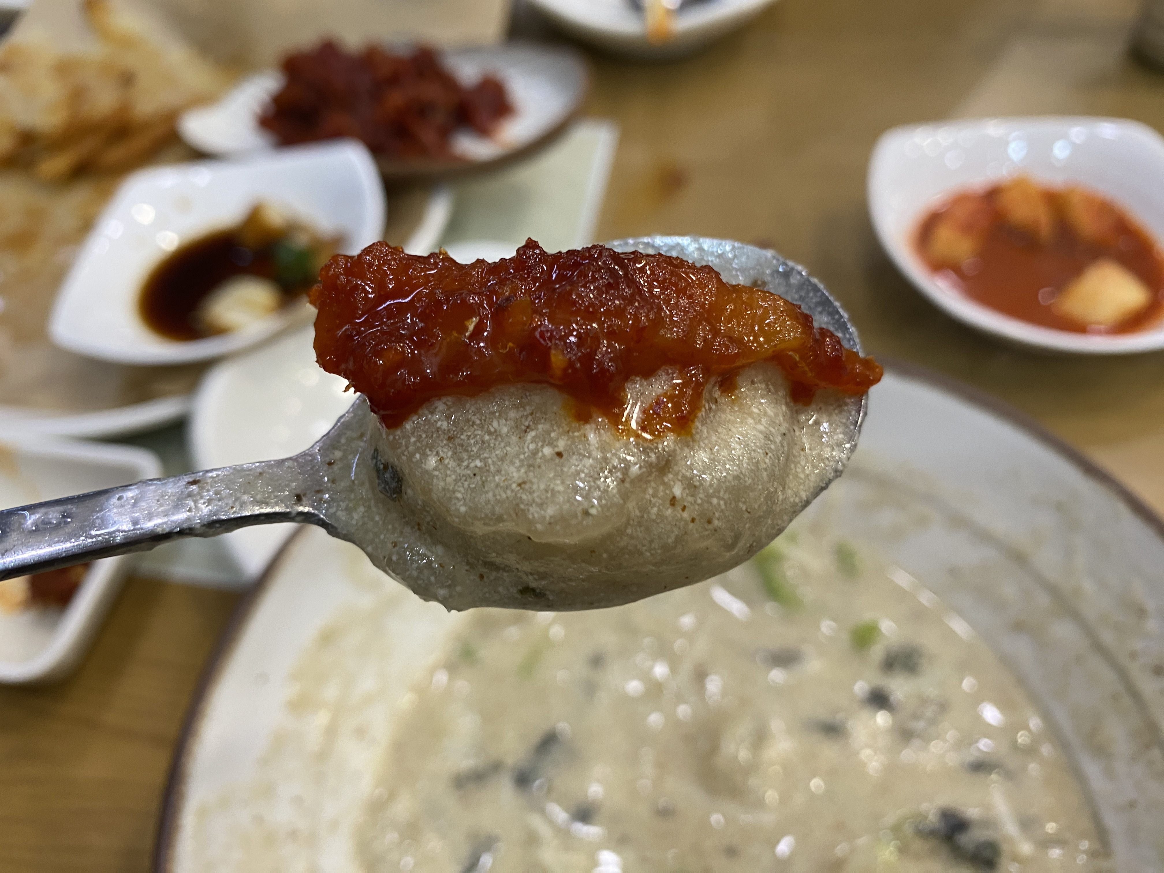 강원도 가서 먹기만 하는 강원도(속초) 쳐돌이가 먹는것들 🦑🦀🐟 | 인스티즈