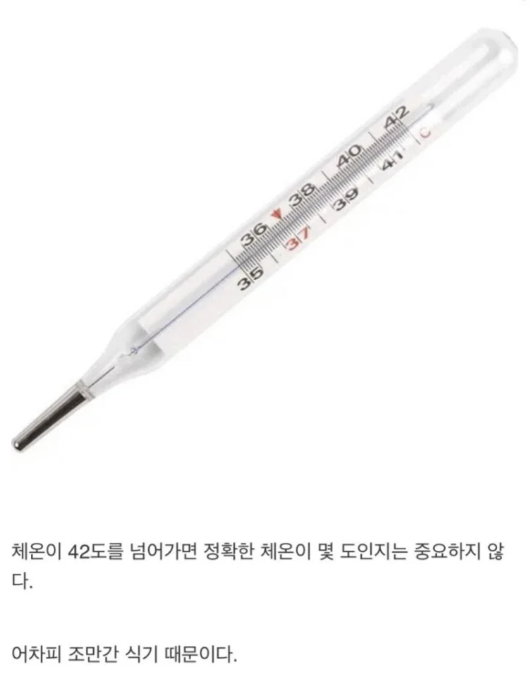 체온계가 42도 밖에 못재는 이유 | 인스티즈