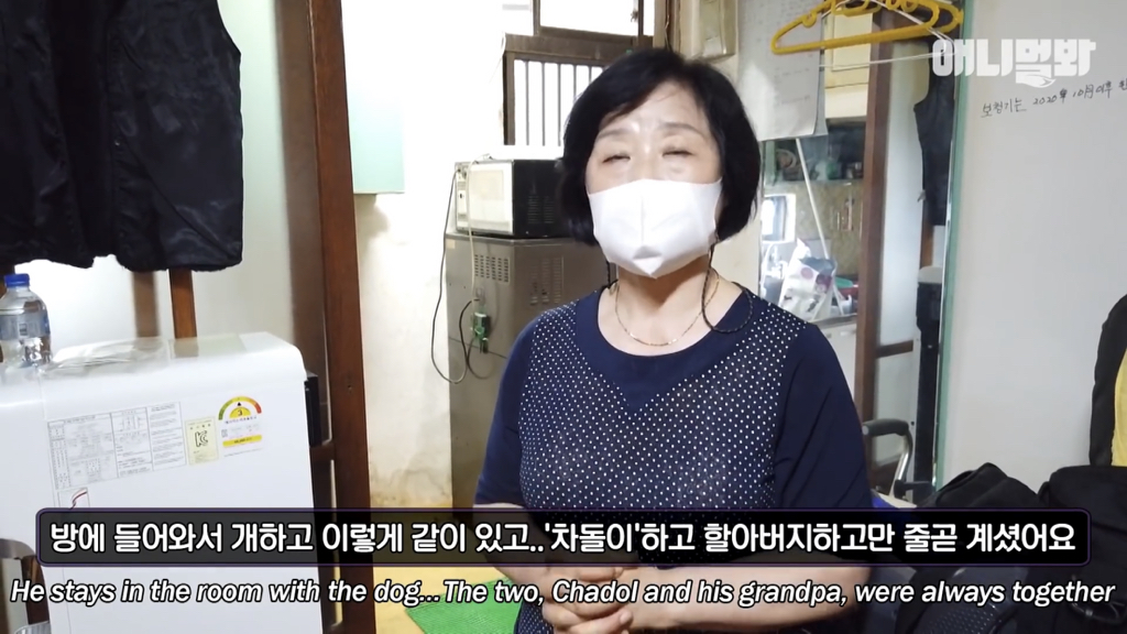1년만에 자신을 두고 간 주인을 만난 강아지 반응 | 인스티즈