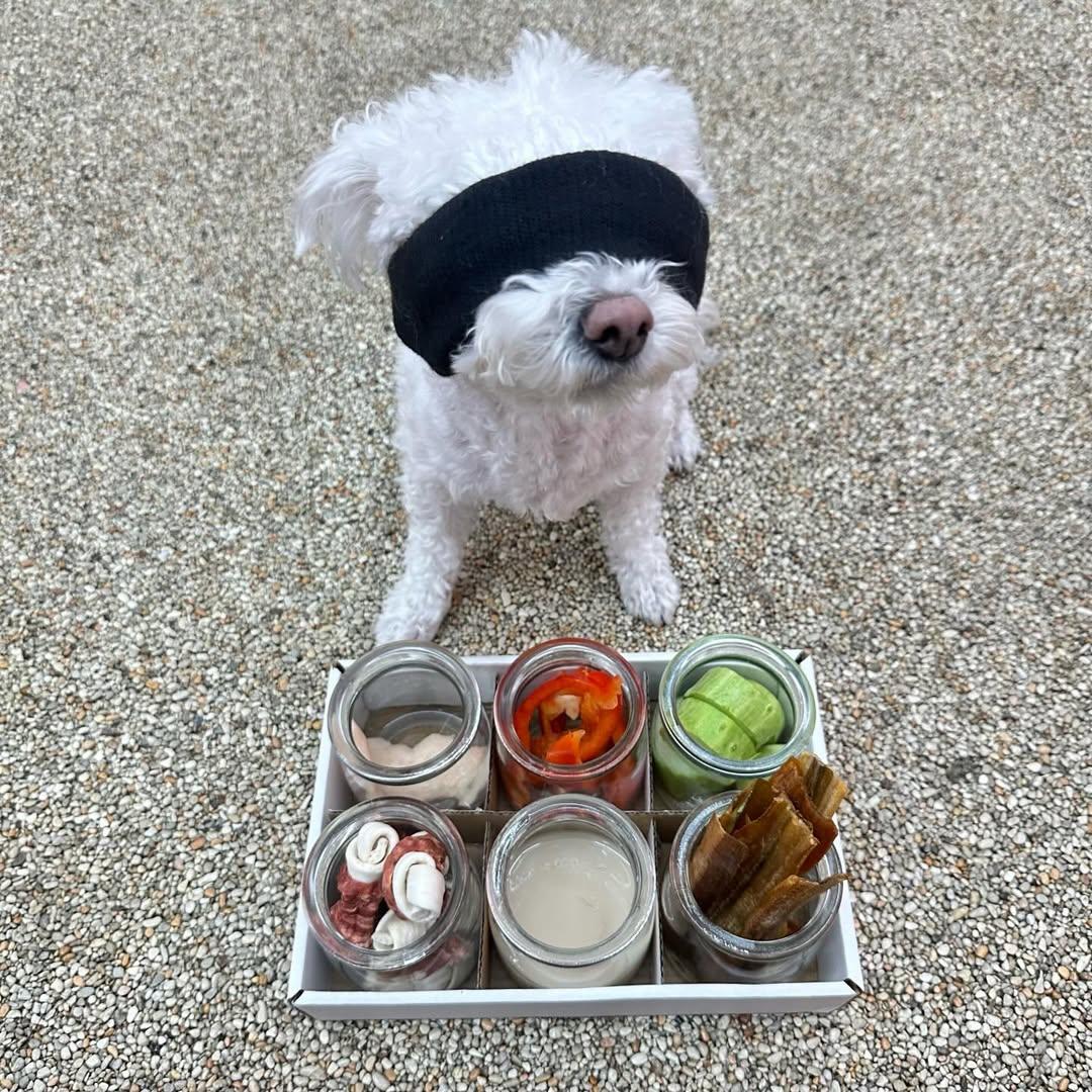 강아지유치원 흑백요리사 | 인스티즈