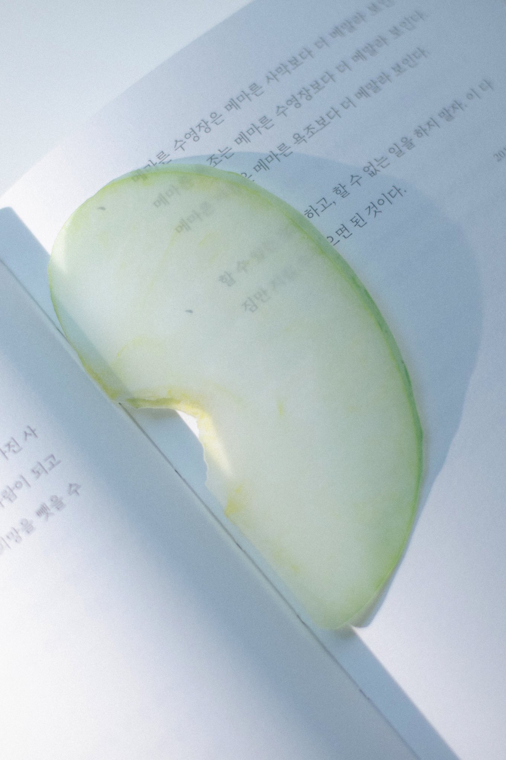 예쁘고 신기한 옥토 작가님의 책갈피 모음.jpg | 인스티즈