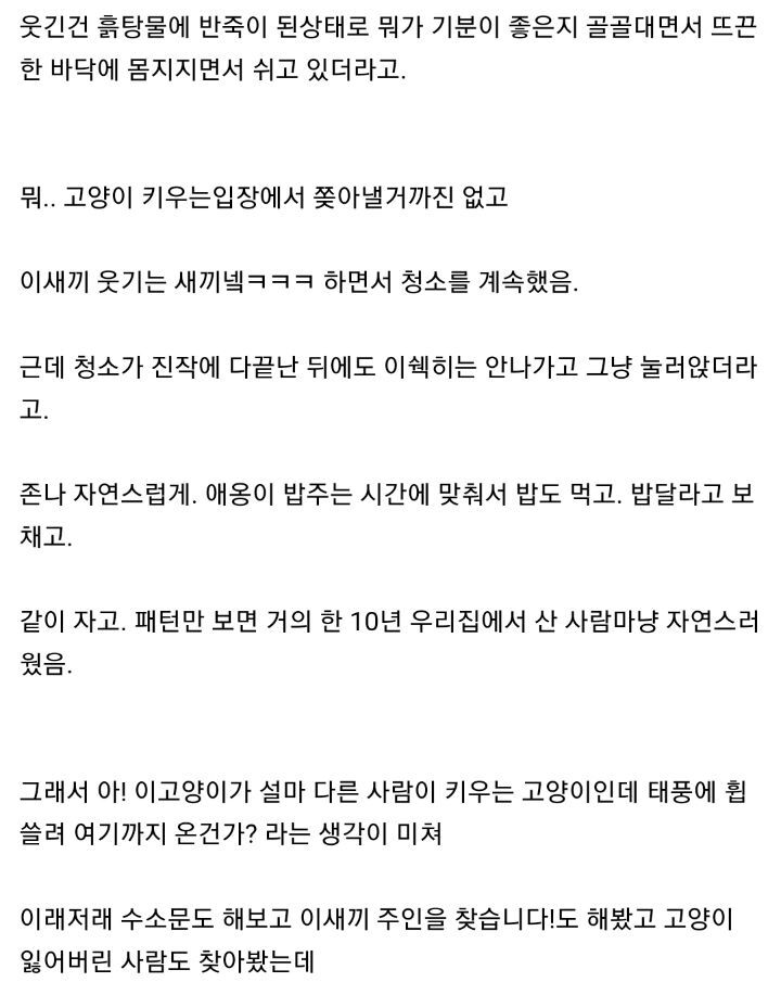 태풍 3번이면 고양이를 얻는다. jpg | 인스티즈