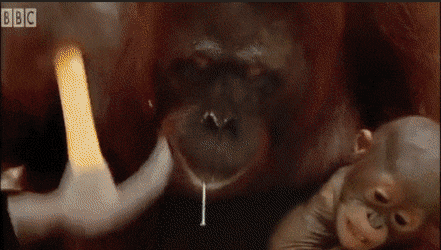 1학년 데리고 실습하는 4학년.gif | 인스티즈