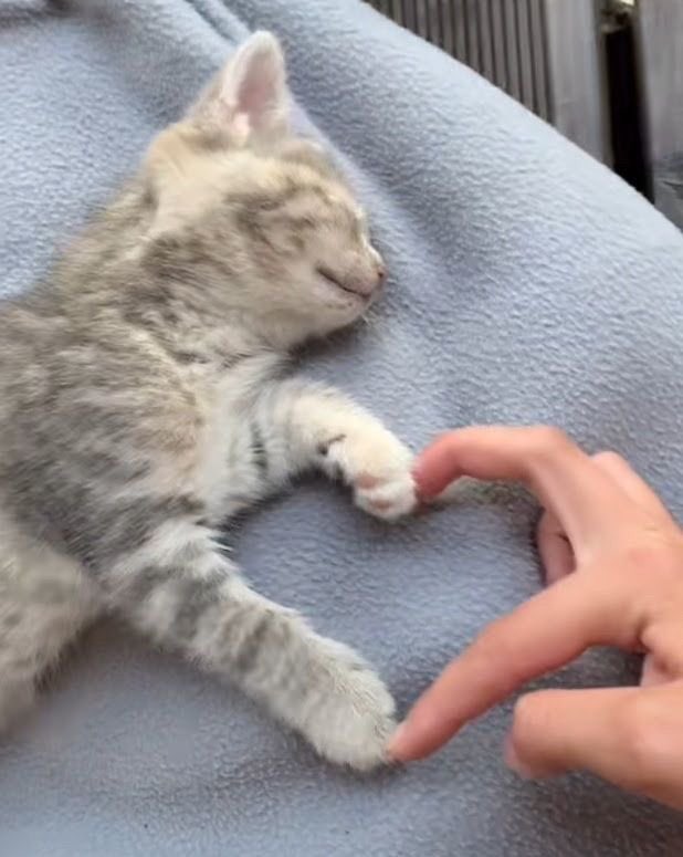 맛없어하는거 개투명한 유재석 3대장 | 인스티즈