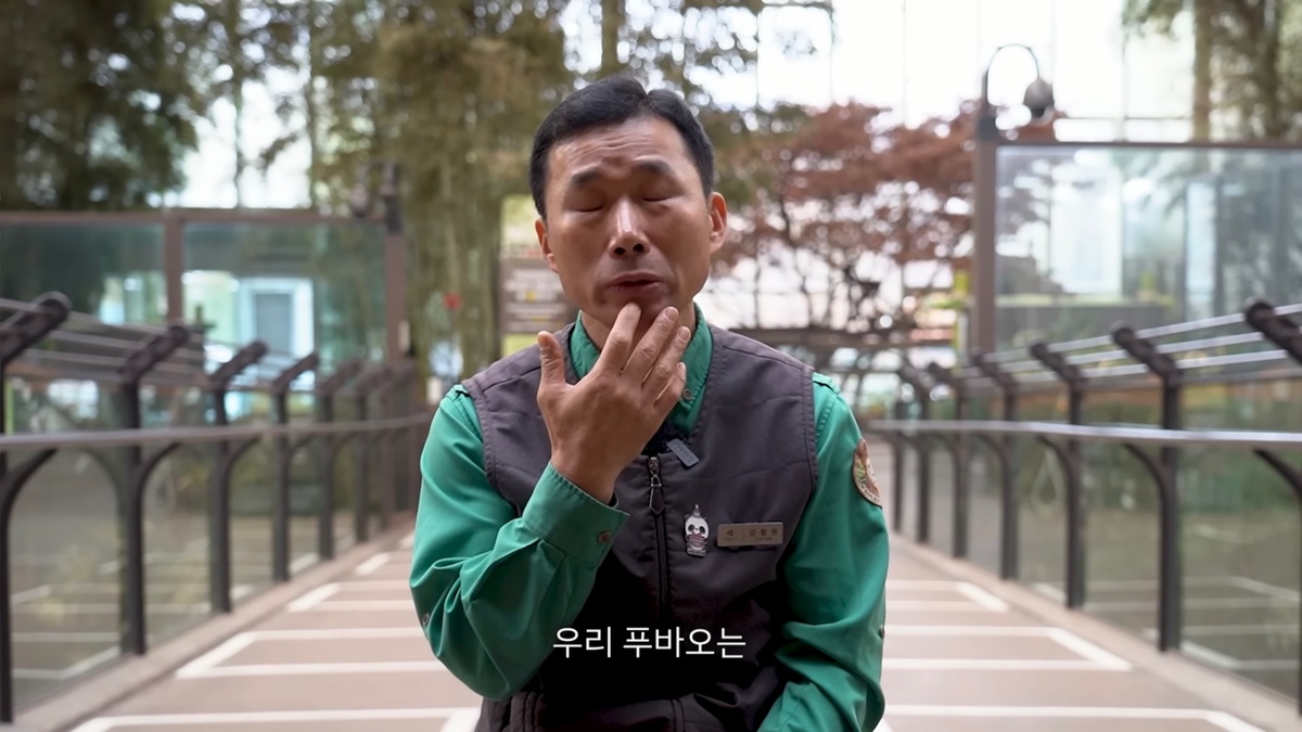 강바오가 중국 사육사에게 보내는 영상편지 (오열주의) | 인스티즈