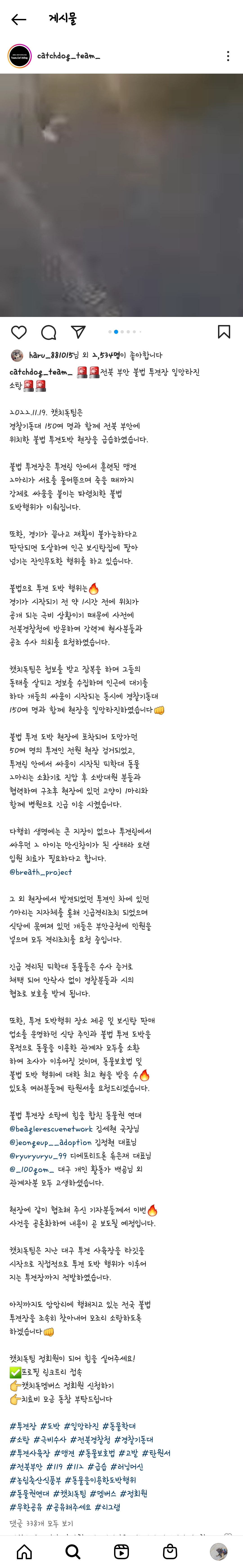 아직도 투견을 하는 인간이 있다고? | 인스티즈