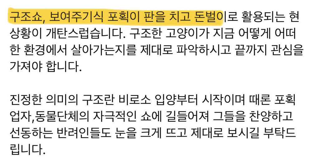 동물 구조(보호소) 경계해야함 / 고양이학교의 처참함 | 인스티즈