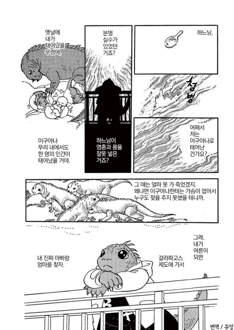 이구아나의 딸 | 인스티즈