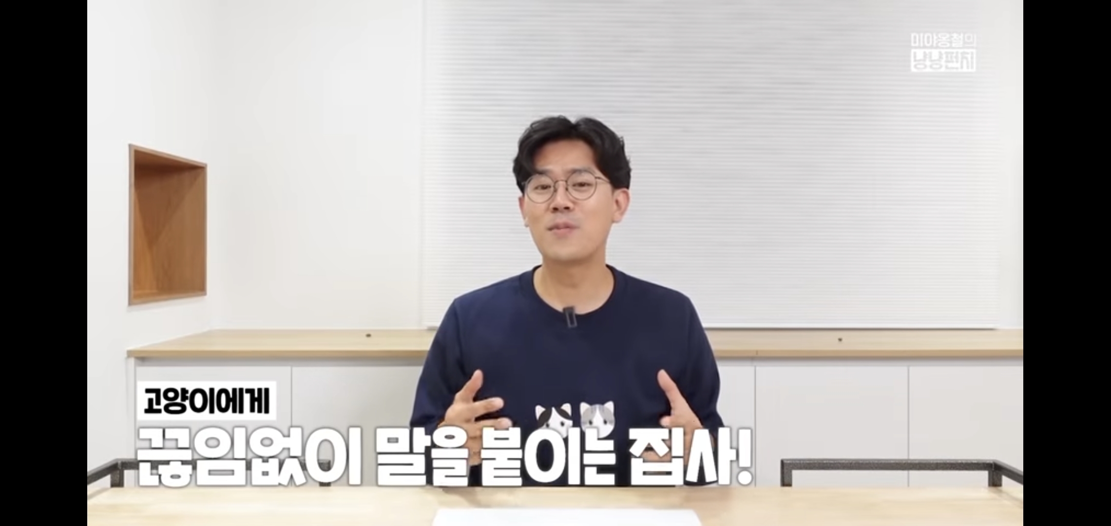 고양이 분리불안을 만드는 집사의 5가지 행동.jpg | 인스티즈