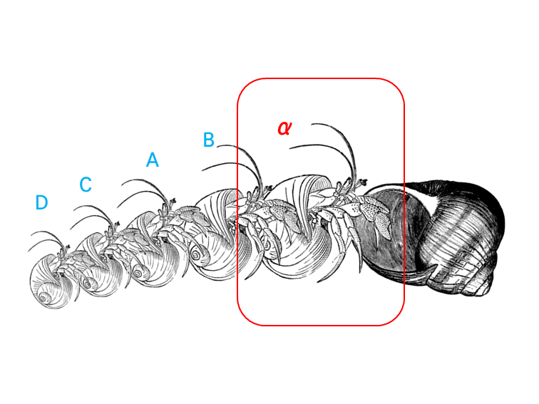 소라게의 새 집 구하기 | 인스티즈