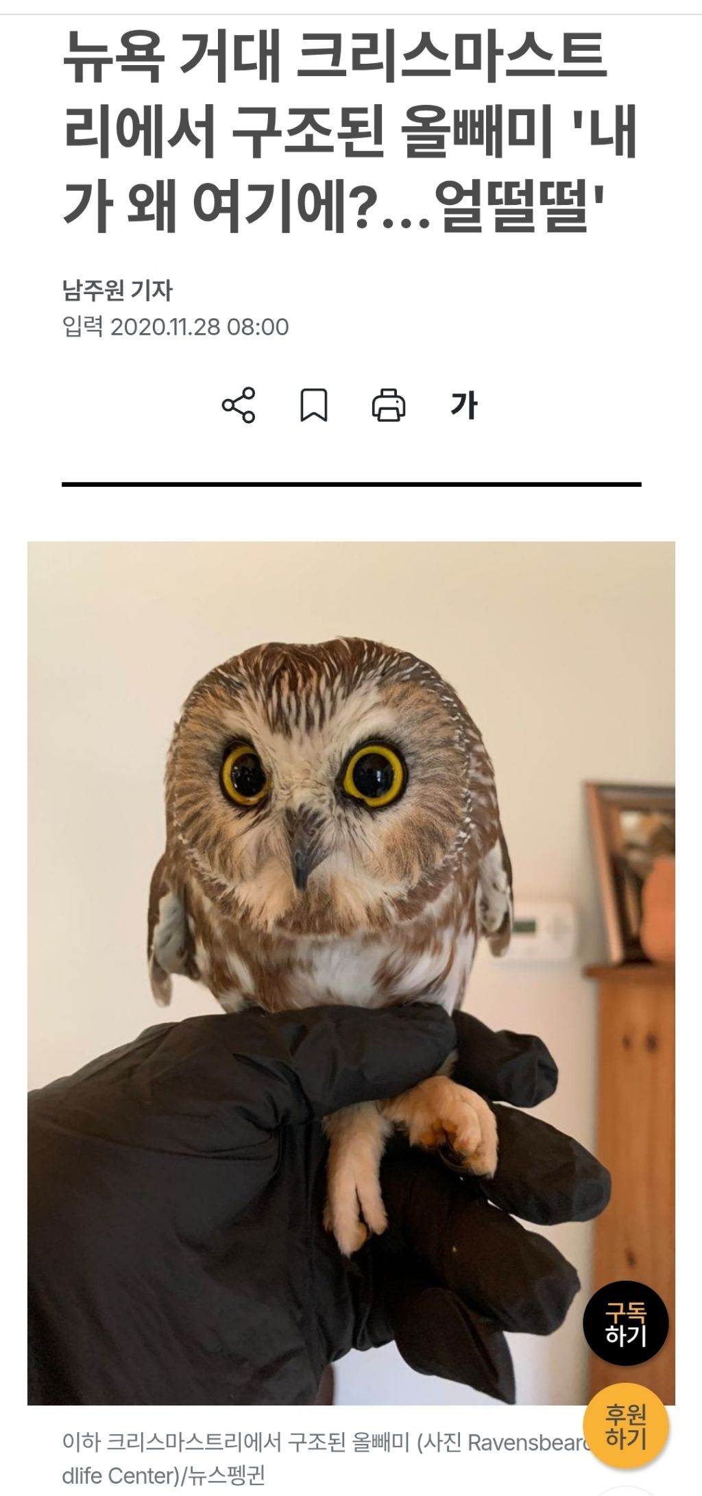뉴욕 록펠러센터 크리스마스 트리 이야기 | 인스티즈