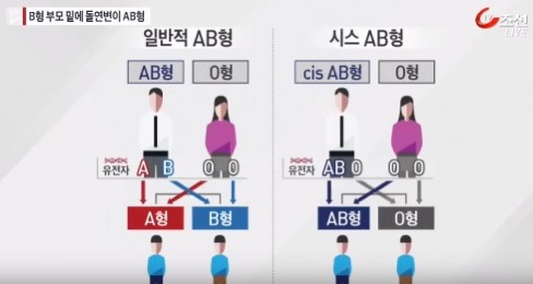 전세계적으로 한국이랑 일본에만 존재하는 희귀 혈액형 | 인스티즈