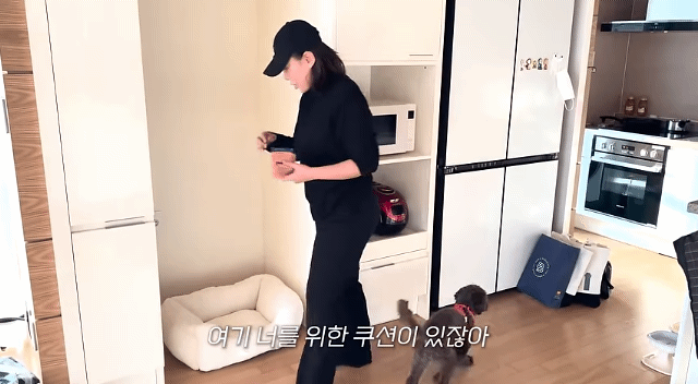 드디어 강아지 입양한 가비.youtube | 인스티즈