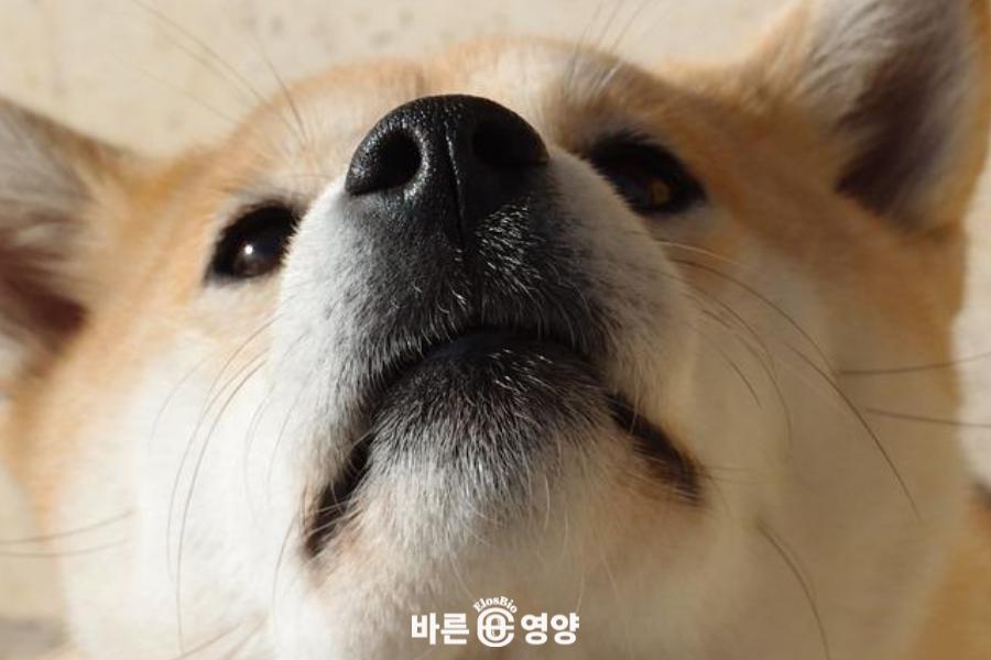 뇌손상 온게 아니라 이건 진짜 처서매직...jpg | 인스티즈