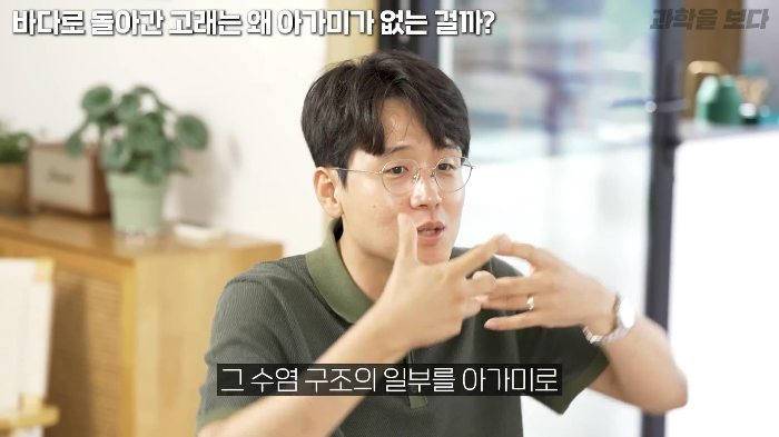 바다로 돌아간 고래는 왜 아가미를 만들지 못했는가 | 인스티즈