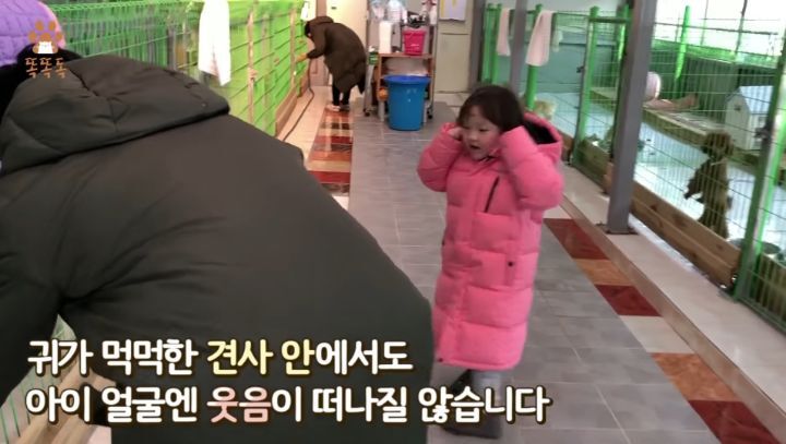 7살 아이 눈에 비친 유기견 보호소는? | 인스티즈
