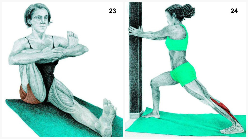 ac47a78a33e2da0f1986a509f8493aba5c83bbbb