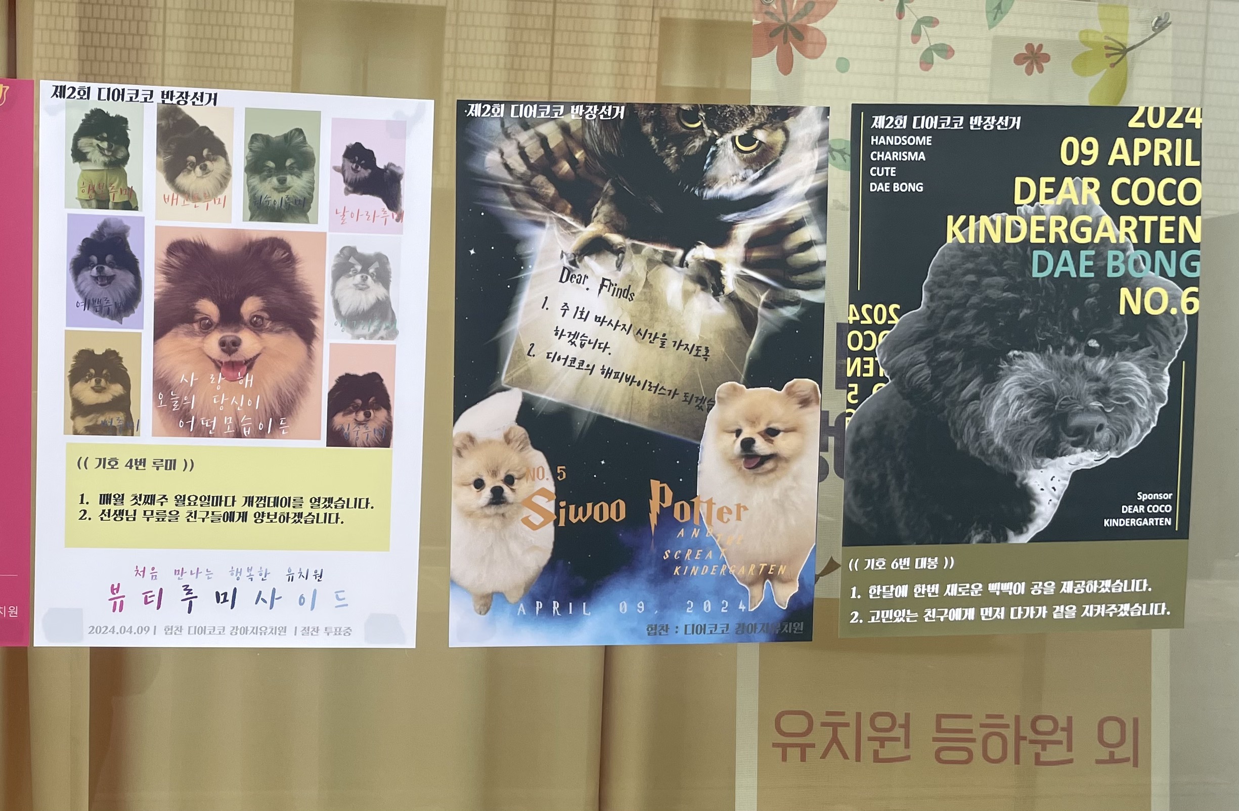 아 우리동네 강아지 유치원 투표 미쳤나봐 ㅋㅋㅋ | 인스티즈