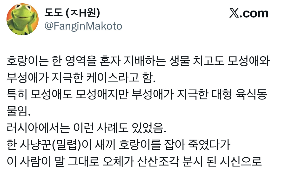 전래동화 같은 호랑이 이야기 트위터 모음.twt | 인스티즈