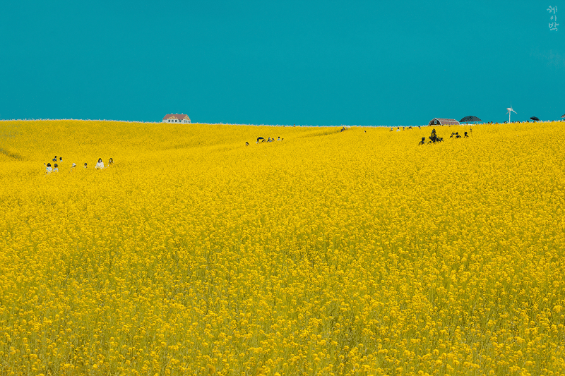 촬영 장소만 봐도 분위기 느껴지는 넷플드 안나라수마나라 | 인스티즈