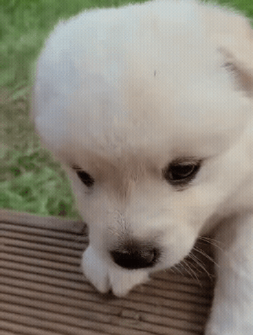 acd6c465237569d97f1e22ccb19f976f4273a84d