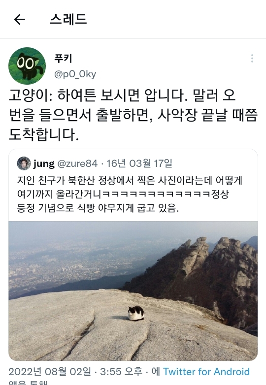 정상에서 이미지