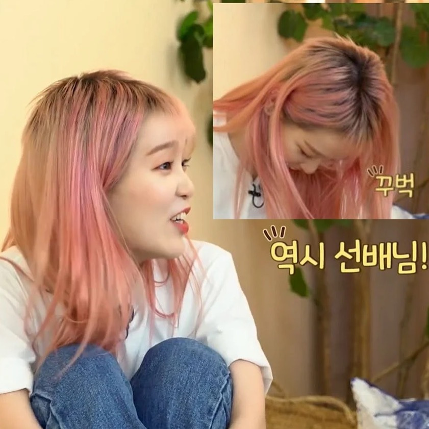 머리머리 이미지