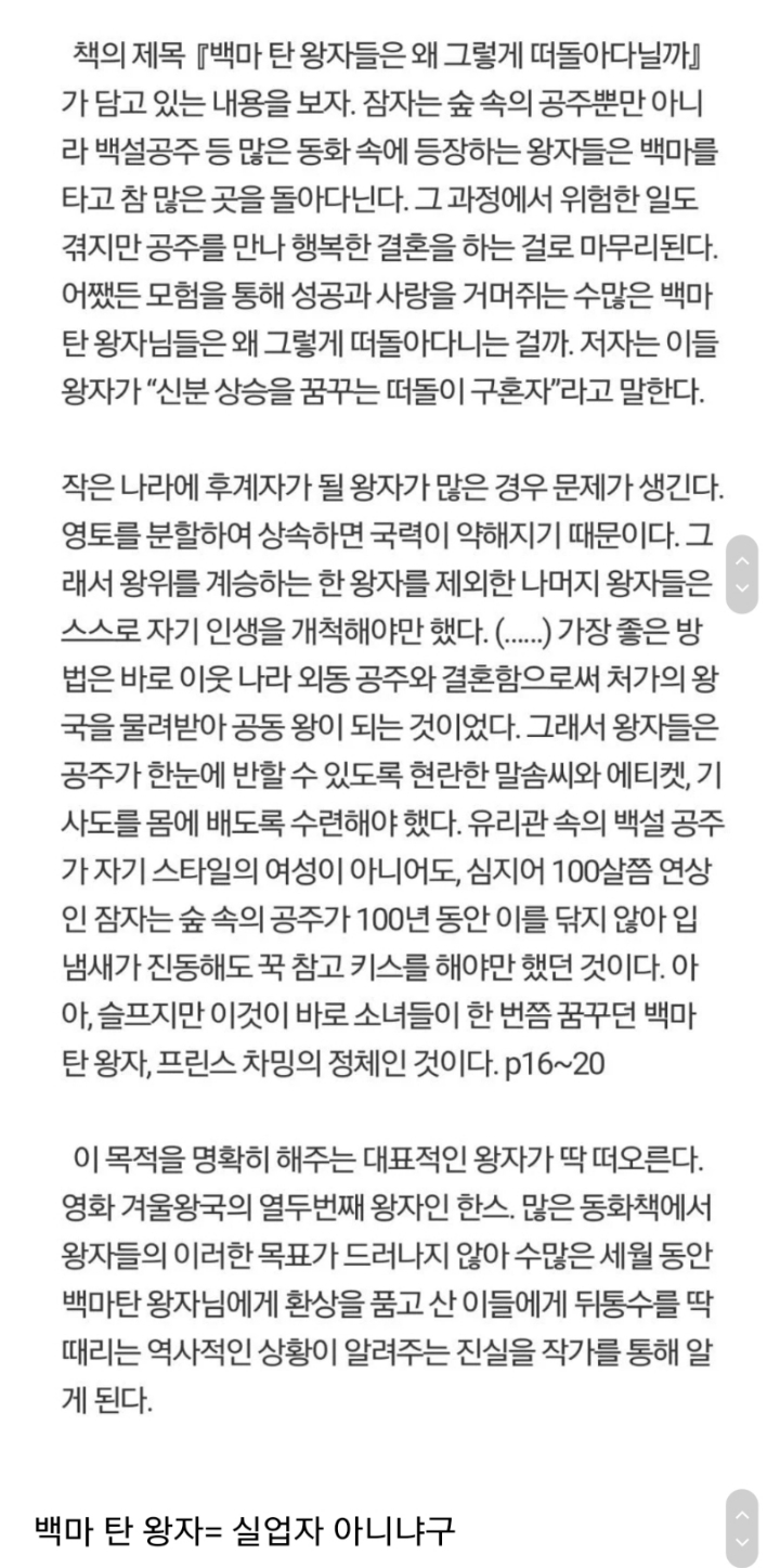 동화 속 백마 탄 왕자님의 정체.jpg | 인스티즈