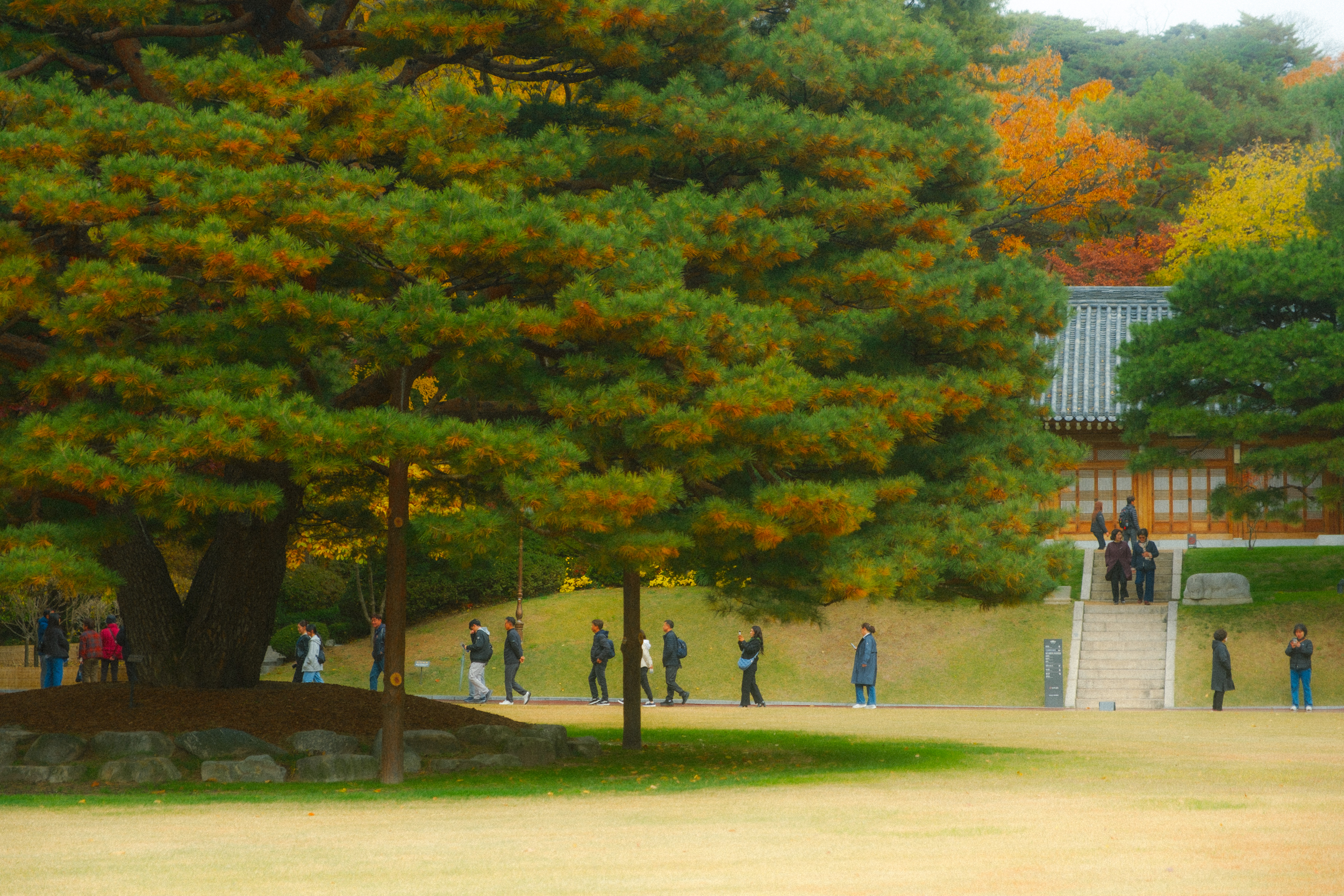 어제 담아온 가을 🍂 | 인스티즈
