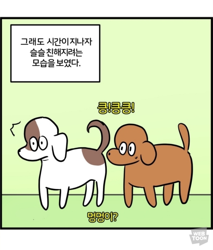 강아지 산책할때 일부 견주들이 공감 하는 불공평 똥꼬 | 인스티즈