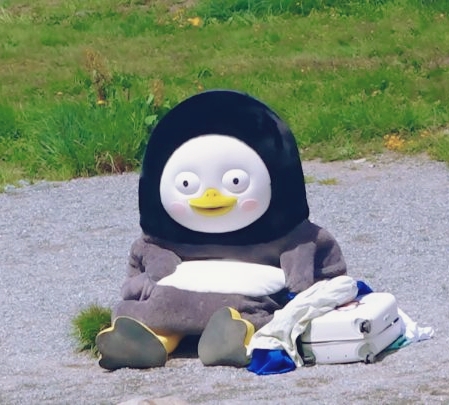 아마 본 적이 없을 특이한 조류 30종 | 인스티즈